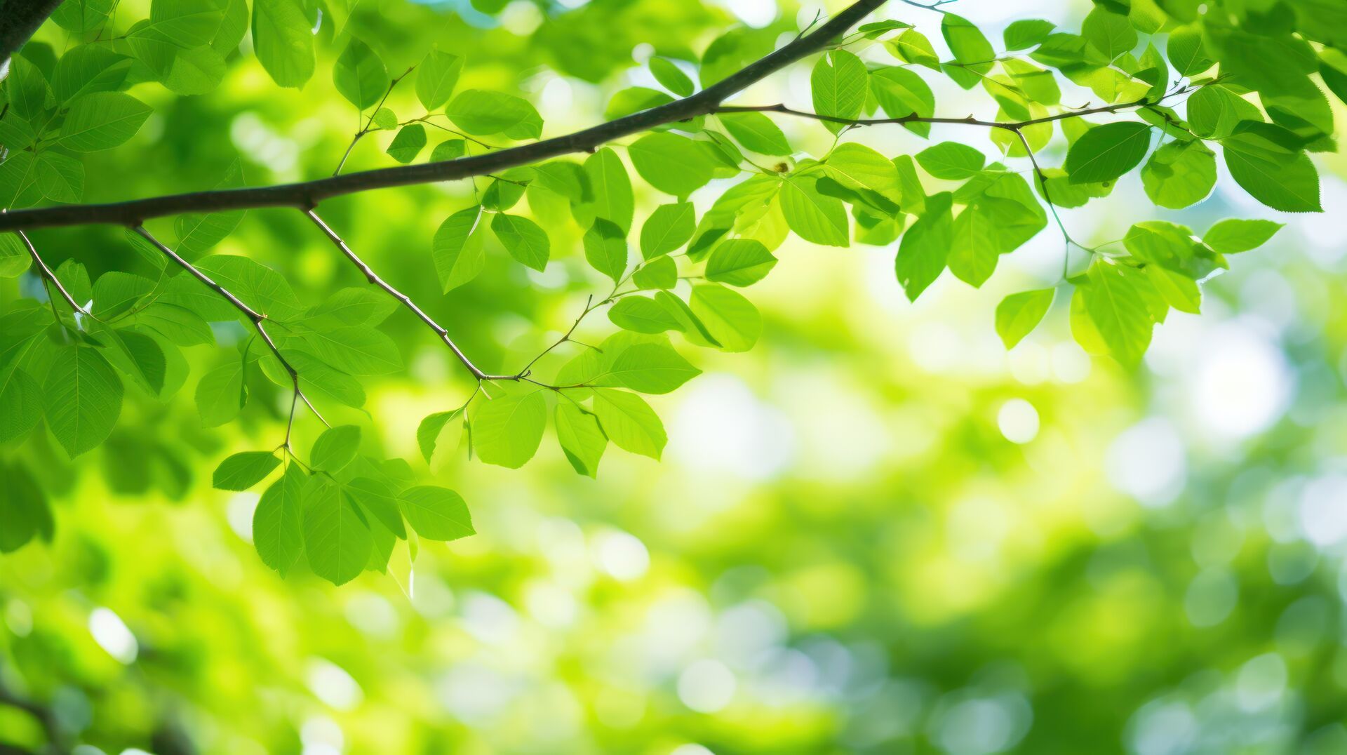 AdobeStock_928762386